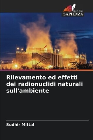 Cover of Rilevamento ed effetti dei radionuclidi naturali sull'ambiente