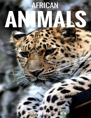 Book cover for African Animals