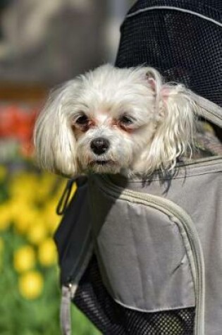 Cover of Packing a Puppy - A Dog in a Backpack Journal