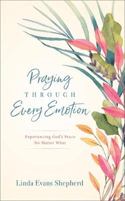 Book cover for Praying through Every Emotion