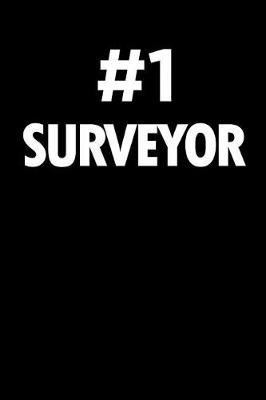 Book cover for Number 1 Surveyor