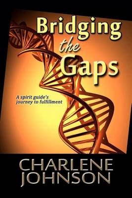 Book cover for Bridging the Gaps