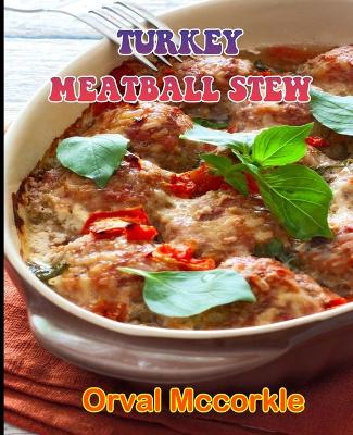 Book cover for Turkey Meatball Stew