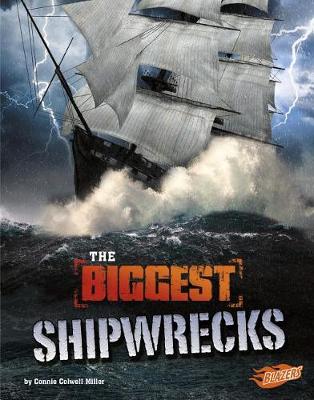 Book cover for The Biggest Shipwrecks