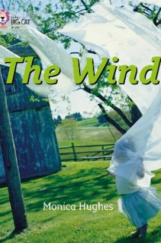 Cover of The Wind