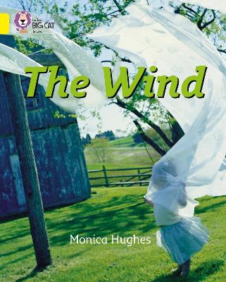Cover of The Wind