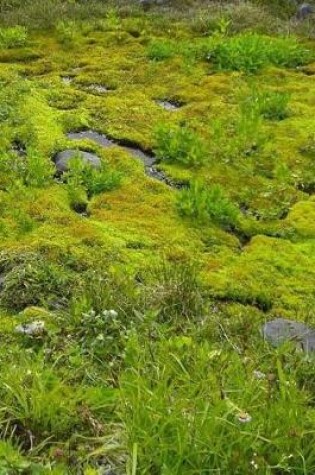 Cover of Meadow Fields Farming Agriculture Environment Environmental Meadows Grass