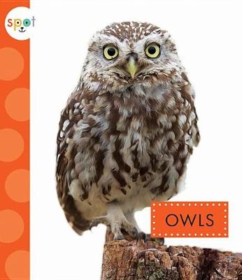 Cover of Owls