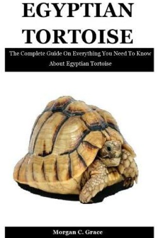 Cover of Egyptian Tortoise