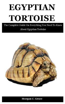 Book cover for Egyptian Tortoise