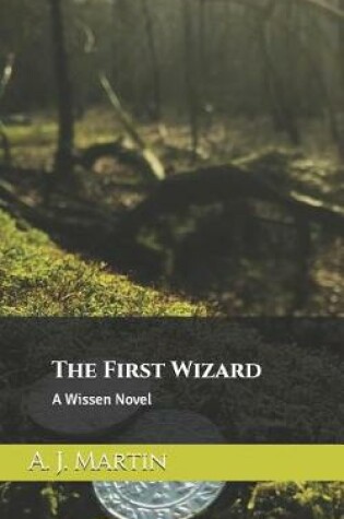 Cover of The First Wizard