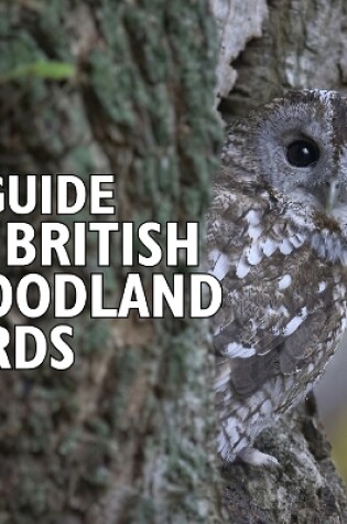 Cover of A Guide To British Woodland Birds
