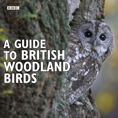 Book cover for A Guide To British Woodland Birds