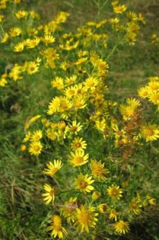 Cover of Jacobaea Vulgaris Ragwort Flowers Blooming in a Field