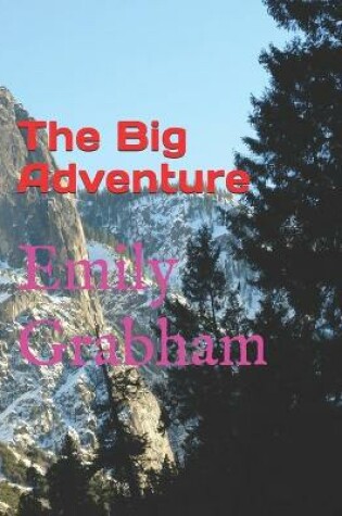 Cover of The Big Adventure