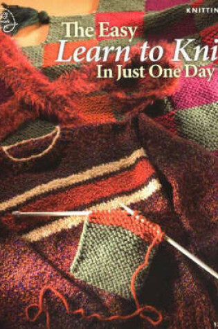 Cover of Easy Learn to Knit in Just One Day