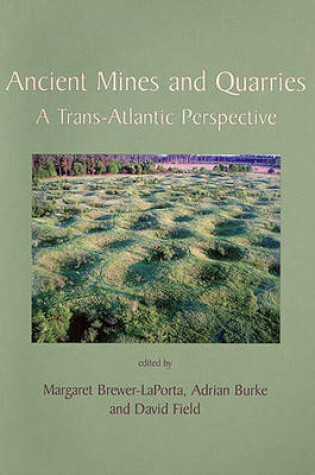 Cover of Ancient Mines and Quarries