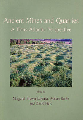 Book cover for Ancient Mines and Quarries