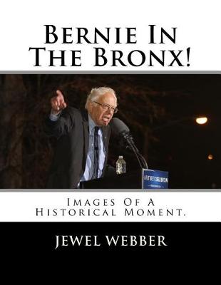 Book cover for Bernie In The Bronx!