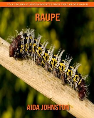 Book cover for Raupe