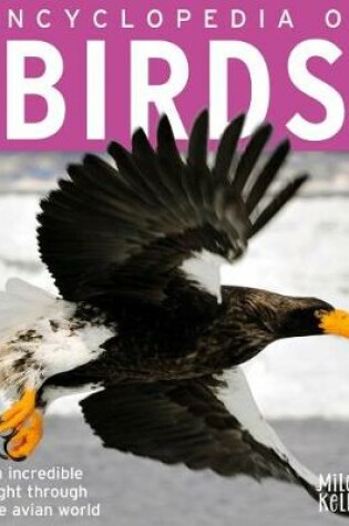 Cover of Encyclopedia of Birds