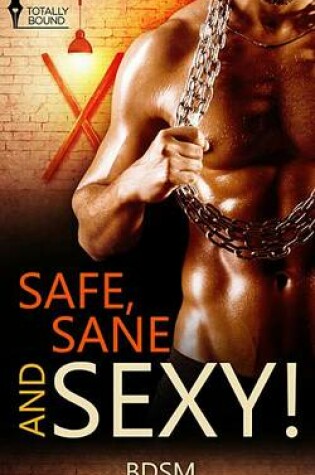 Cover of Safe, Sane and Sexy