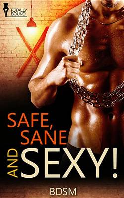 Book cover for Safe, Sane and Sexy