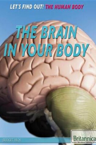 Cover of The Brain in Your Body
