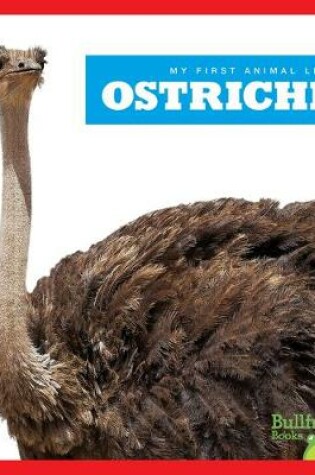 Cover of Ostriches