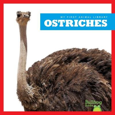 Book cover for Ostriches