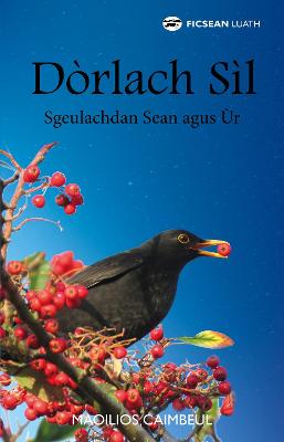 Book cover for Dòrlach Sìl