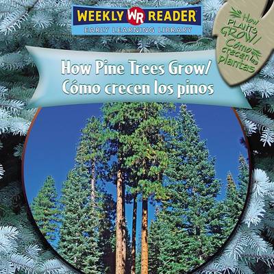 Book cover for How Pine Trees Grow / C�mo Crecen Los Pinos