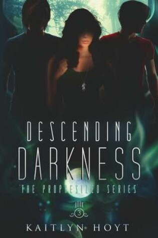 Cover of Descending Darkness