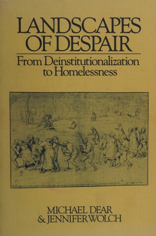 Cover of Landscapes of Despair