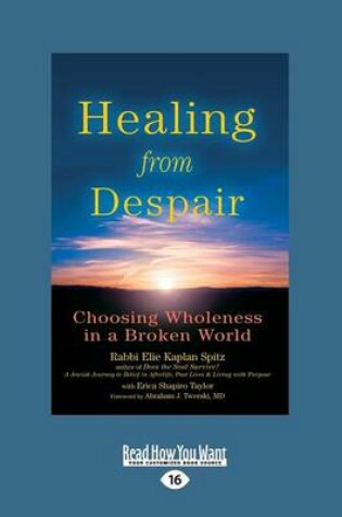 Cover of Healing from Despair