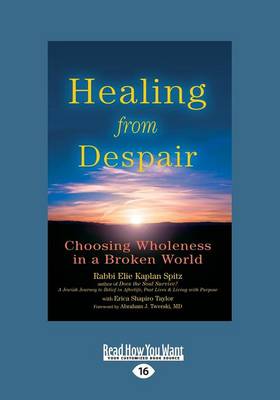 Book cover for Healing from Despair