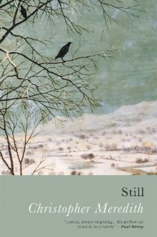 Cover of Still