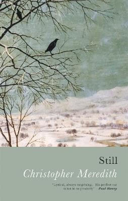 Book cover for Still