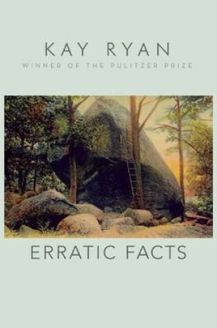 Cover of Erratic Facts