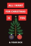 Book cover for All I Want For Christmas Is You & Your Dick