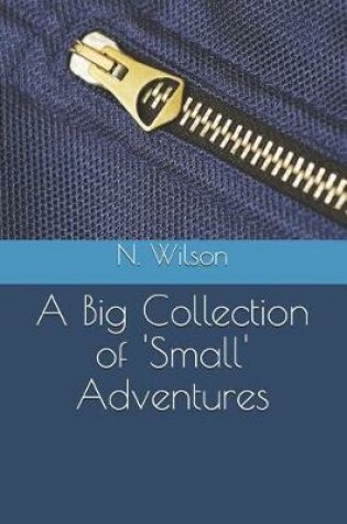 Cover of A Big Collection of 'Small' Adventures