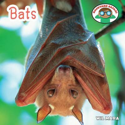 Book cover for Bats