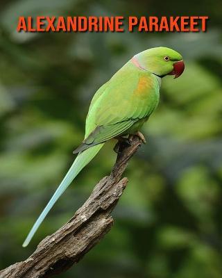 Book cover for Alexandrine Parakeet