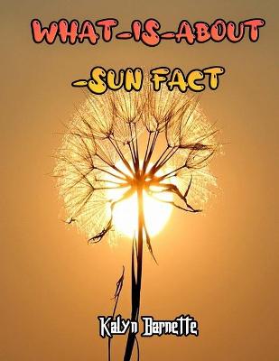 Book cover for Sun Fact