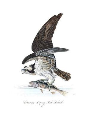 Book cover for Common Osprey Fish Hawk Composition Notebook