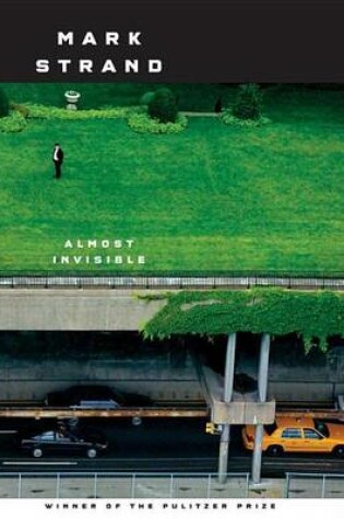 Cover of Almost Invisible: Poems