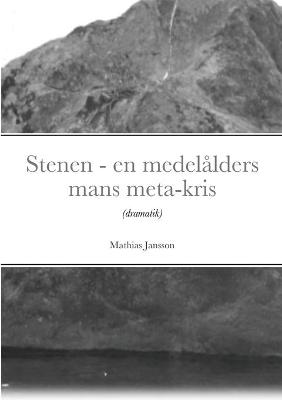 Book cover for Stenen - en medel�lders mans meta-kris