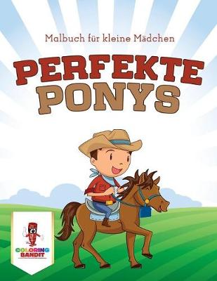 Book cover for Perfekte Ponys
