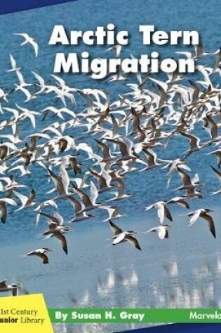 Cover of Arctic Tern Migration
