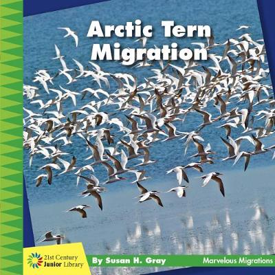Book cover for Arctic Tern Migration